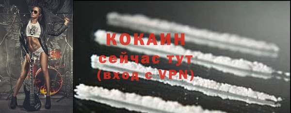 прущие грибы Аркадак
