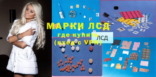прущие грибы Аркадак
